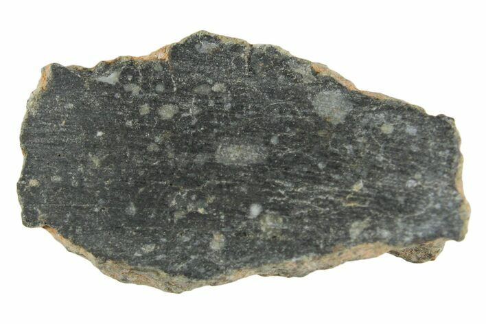 Polished Lunar Meteorite ( g) Section - NWA #360235
